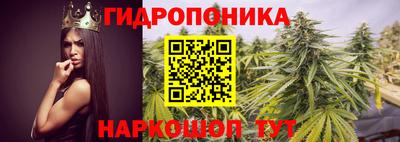 спиды Волгодонск