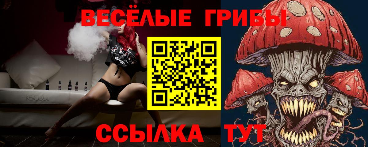 Дмитров  Галлюциногенные грибы ЛСД  Вход с VPN 