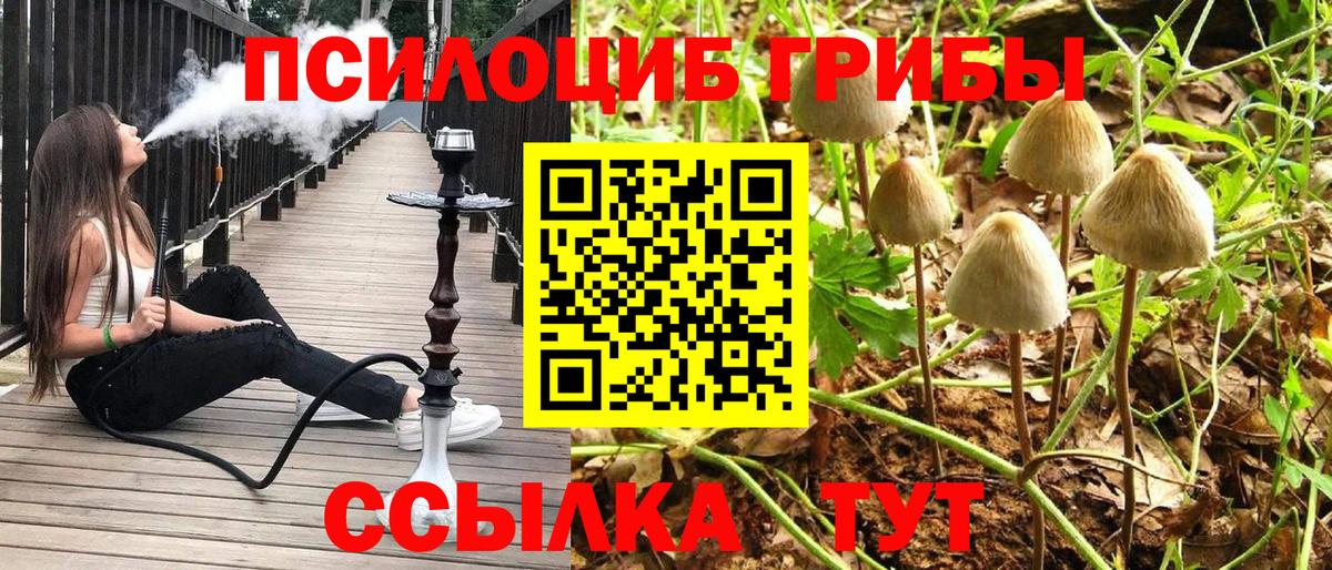 Галлюциногенные грибы мухоморы Дмитров
