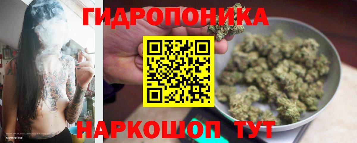 Каннабис ГИДРОПОН Дмитров